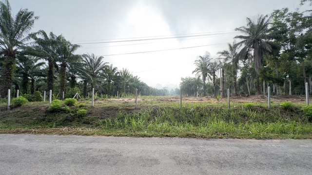 โปรลดแรงเอาใจลูกค้า  แบ่งขายที่ดิน บ้านฝั่งแดง  หมู่ 4 ต.ทรายทอง อ.บางสะพานน้อย จ.ประจวบฯ  ติดทะเลมีทั้งหมด  5 แปลง 