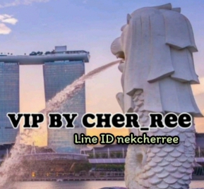  Vipสิงคโปร์ บินฟรี