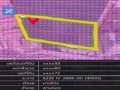ขายที่ดินผังม่วงลายอมตะนครชลบุรี​ 14​ ไร่​ และ​ 6​  ไร่