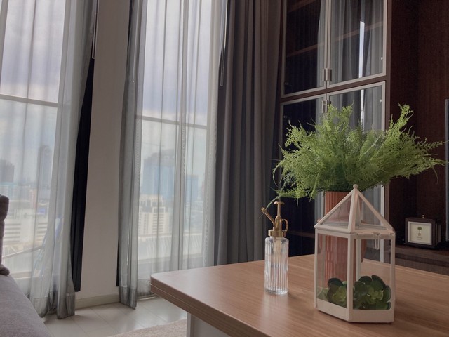 ให้เช่า Noble Ploenchit**เพียง 64,000/เดือน** **ราคาถูกที่สุดในโครงการ**