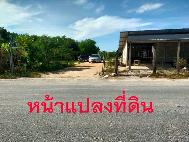 ขายที่ดิน ซอยพยูน 20 ติดถนนสองด้านผังสีเหลือ เขตบ้านฉาง จ.ระยอง