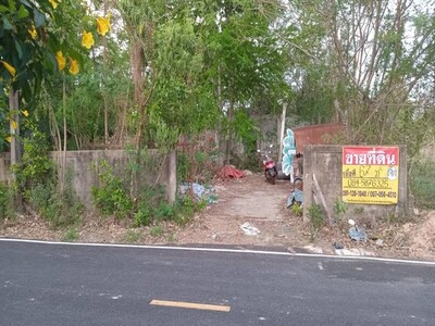ขายด่วน ที่ดิน 66 ตารางวา  หลังโรงเรียนพิทยาคม  เมืองยโสธร