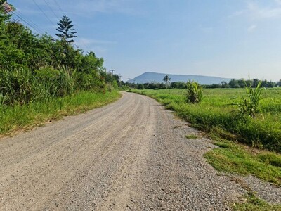 โปรดีกลางปี68พร้อม ขายที่ดินปากช่อง2-8ไร่ โฉนด ต.วังไทร ไร่ละ 2.9