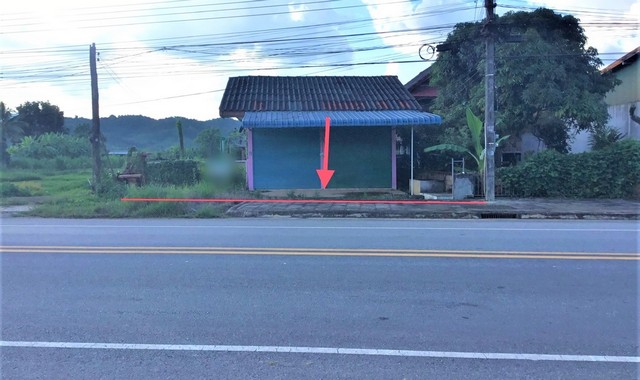 ขายบ้านเดี่ยว อำเภอพญาเม็งราย เชียงราย (PKK02-09909)