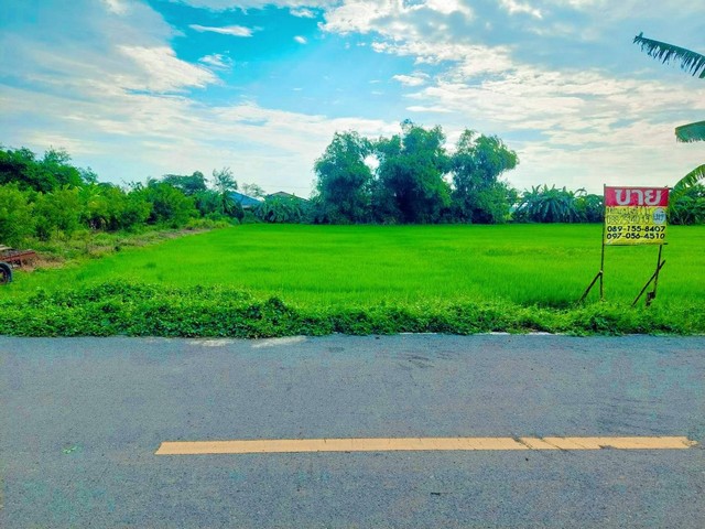 ขายด่วนที่ดินสวย 400 ตร.วา  คลองหลวง  คลองห้า  ปทุมธานี   ZT242