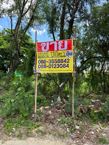 ขายที่ดิน ติดถนนสวนผัก 60 เนื้อที่ 2-3-9 ไร่  ศาลาธรรมสพน์ เขตทวีวัฒนา กทม.  ‭ZT219 