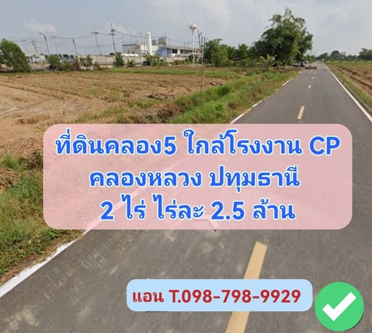 ที่ดินคลอง5 คลองหลวง ปทุมธานี 2 ไร่ ไร่ล่ะ 2.5 ล้านบาท ใกล้โรงงานCP ใกล้มอเตอร์เวย์