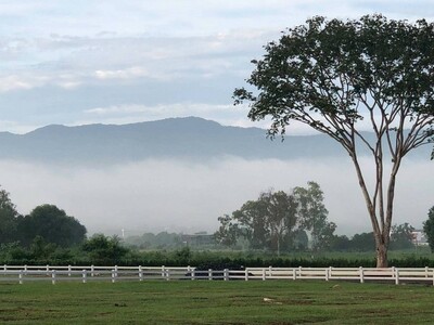 BelleVue KhaoYai  (เบลวิล เขาใหญ่)  ที่สุดของความสงบที่เหนือระดับ