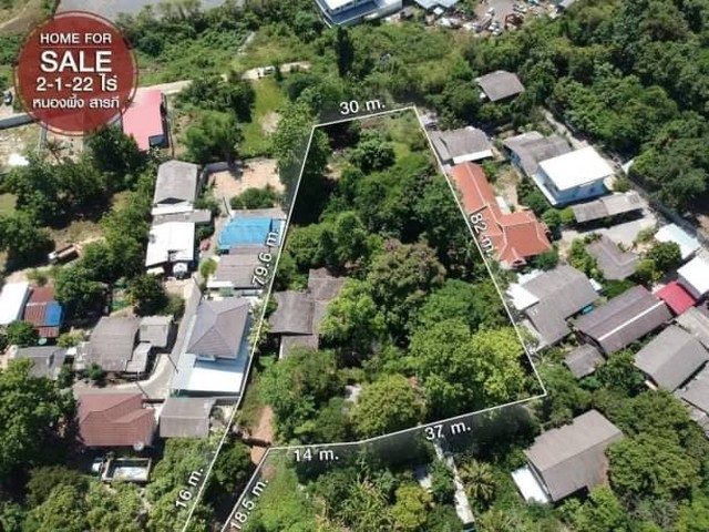 ขายที่ดิน 15 ล้าน #สารภี 2 ไร่ 1 งาน 22 ตรว. #หนองผึ้ง มีต้นไม้ใหญ่ ร่มรื่น พื้นที่กว้างขวาง