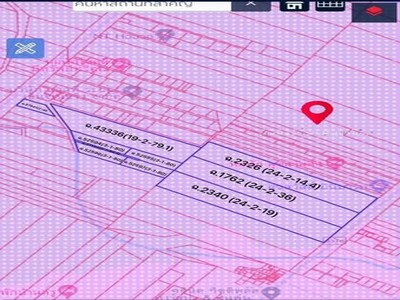 ขายที่ดินนิคมพัฒนาระยอง เนื้อที่  109-3-52.9 ไร่  พื้นที่ม่วงลาย 