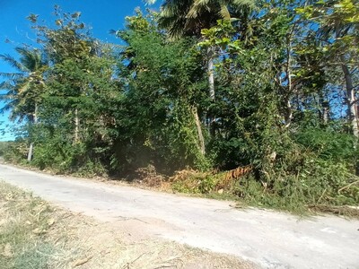 ขายที่ดิน 2 ไร่ พร้อมต้นสักอายุ 22 ปี ลพบุรี