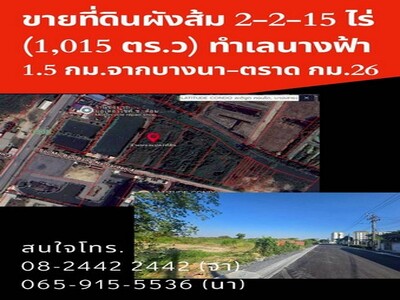 ขายที่ดิน 2-2-15 ไร่ ซอยเอแบค บางนา (บางนาการ์เด้น 4)