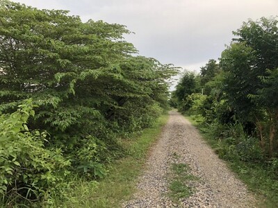 จากใจคนขายถึงใจผู้ซื้อ  ที่สวยติดเขา เทือกเขายา ขอนแก่น