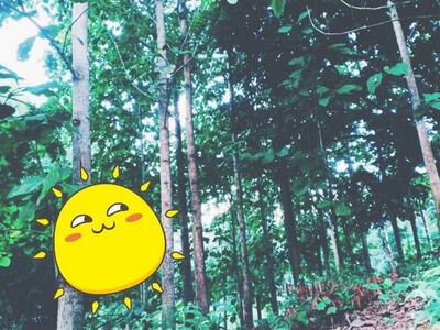 จากใจคนขายถึงใจผู้ซื้อ  ที่ดินติดลำธารน้ำมวบ ใสไหลฉ่ำตลอดปี จ.น่า