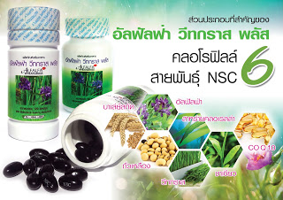 Nutrition Supply จำหน่ายอัลฟัลฟ่า วีทกราส พลัส (ผักเม็ด 6 สายพันธุ์ NSC )