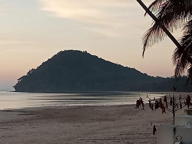 อสิงห์หาทรัพย์ดีให้คุณเลือกซื้อพร้อมโปรและเงื่อนไขพิเศษ   ขายที่ใกล้ทะเล ต.สะพลี อ.ปะทิว จ.ชุมพร ราคาคุยได้ สนใจโทรตรง 096-882-1857