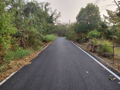 ฝากไว้ให้พิจารณานะคะ ขาย/เช่า บ้าน90วา อ.บางใหญ่ จ.นนทบุรี 