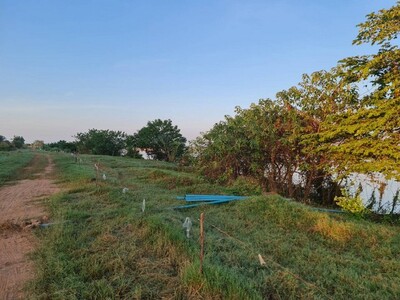 ฝากไว้ให้พิจารณานะคะ ขายที่ติดน้ำโขง ต.กุดบง โพนพิสัย หนองคาย