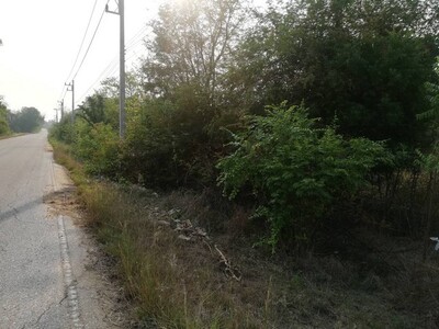 ฝากไว้ให้พิจารณานะคะ ขายที่แปลงสวยติดติดทางหลวง1107 จ.ตาก  