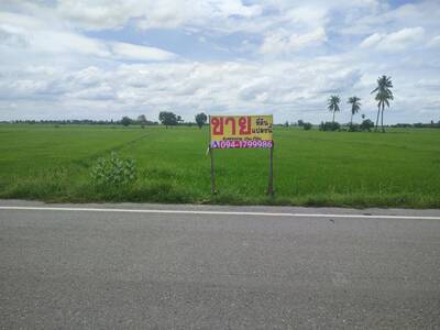 ที่ดินเปล่า 2-2-0 ไร่ ติดถนนอ่างทอง-สุพรรณบุรี อ.สามโก้ จ.อ่างทอง