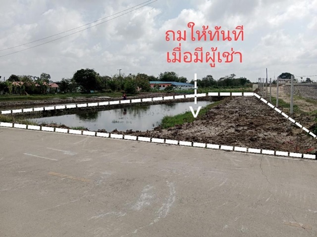 พร้อมถมให้ฟรี ตำบลแพรกษาใหม่ ตลาดนิคมบางปู ตำหรุ กิ่งแก้ว ให้เช่า ที่ดิน 245 ตรว. โกดัง ช๊อป โรงงานประกอบ