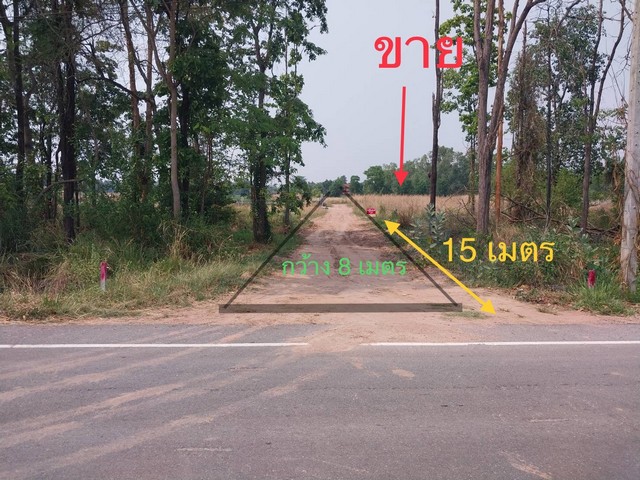 ้องการขายที่ดิน ภ.บ.ท.5 ในชุมชน ตำบลไชยมงคล อำเภอเมือง จังหวัดนครราชสีมา 