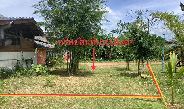 ขายที่ดินว่างเปล่า   อำเภอย่านตาขาว  ตรัง (PKK01-11699)