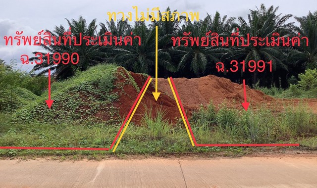 ขายที่ดินว่างเปล่า  อำเภอปะเหลียน  ตรัง (PKK01-11397)