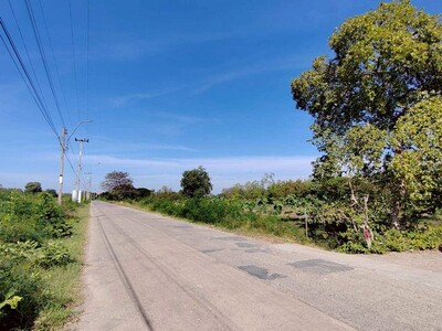 ขายด่วน ที่ดินสวนผัก 4-0-38 ไร่  ใจกลางเมืองนครราชสีมา 