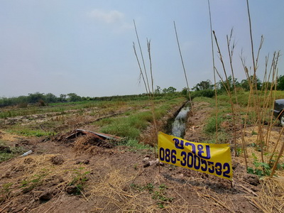 ที่ดิน 800  ตารางวา ถนนบางบังทอง-สุพรรณบุรี ตำบลไทรใหญ่ อำเภอไทรน้อย จังหวัดนนทบุรี 