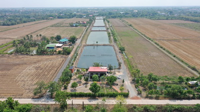 ขายที่ดินบ่อกุ้ง พร้อมบ้าน บนเนื้อที่ 23-2-26 ไร่  ซอยวัดนิโครธาราม  ตำบลท่าไข่  อำเภอเมืองฉะเชิงเทรา  จังหวัดฉะเชิงเทรา