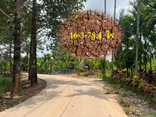  ที่ดินสวย 3 แปลง ขายเหมาถูกมาก 16-3-78.4 ไร่ ม.2 ถนนไทรรัง ต.วังหว้า .แกลง จ.ระยอง เหมาะทำจัดสรร รีสอร์ท บ้านพัก ค่าเฟ่ในสวน ฯลฯ 