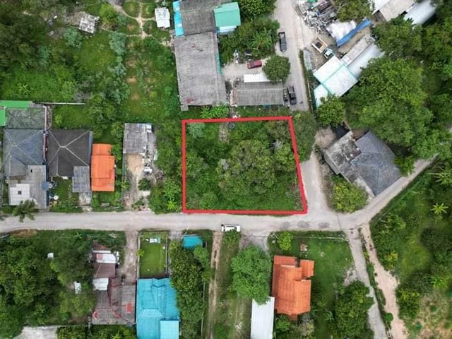 ขายที่ดินเปล่า 233 ตารางวา 1.69 ล้านเท่านั้น ติดถนนสองด้าน เขตนาตาขวัญ เมืองระยอง