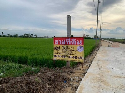 ขายด่วนที่ดินสวย 2 ไร่  ลำลูกกาคลอง10  ใกล้สนามฝึกขี่ม้า ปทุมธานี