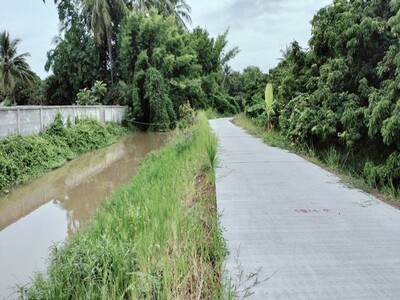 ขายที่ดินสวนลำไย บ้านหนองดู่  ต.บ้านเรือน อ.ป่าซาง จ.ลำพูน
