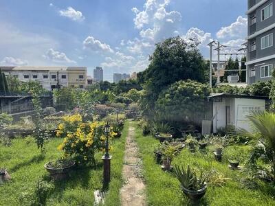 ขายที่ดิน 209 ตร.ว. สุขุมวิท77 อ่อนนุช 14 ซอยกว้าง ใกล้ People Pa