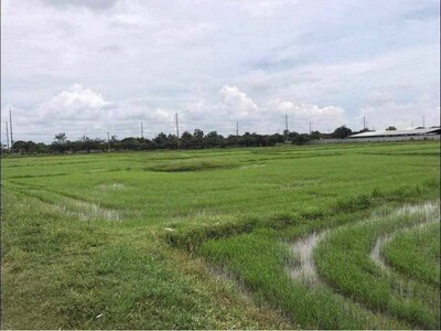 ขายที่ดิน ทำเลทอง 7-1-85 ไร่ ติดถนนเพชรเกษม ใกล้ทางหลวงราชบุรี