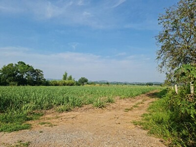 ซื้อเก็บยิ้มรับทรัพย์ ขายที่ดินปากช่อง2-8ไร่โฉนด ต.วังไทร ไร่ละ 2