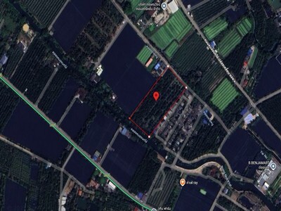 ขายด่วน! ที่ดินพร้อมสวนมะพร้าวบ้านแพ้วกว่า 8 ไร่! ราคาดี ในหนองนก