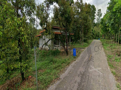 ที่ดินพร้อมสวนทุเรียน ขนาด 4 ไร่ 127.1 ตร.วา 