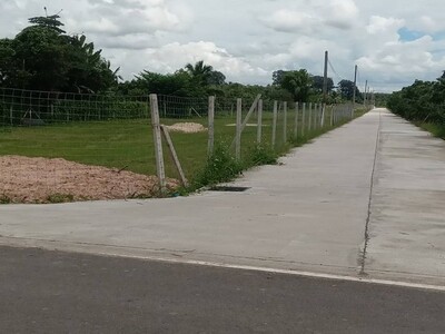 ขายที่ดิน 65ว. 455ส. ผ่อนได้ ใกล้วัดไร่ดง ขัวมุง สารภี เชียงใหม่