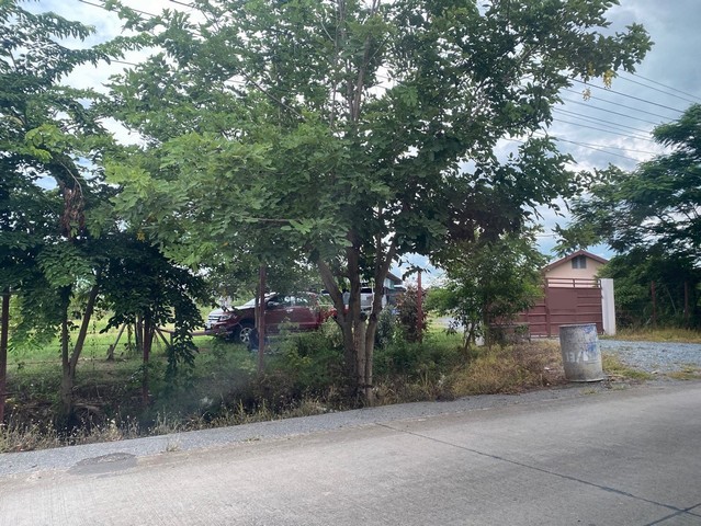 ขายที่ดินถมแล้ว  ต.หน้าไม้ อ.ลาดหลุมแก้ว ปทุมธานี 7 ไร่ครึ่ง เหมาะทำโกดัง ออฟฟิศ