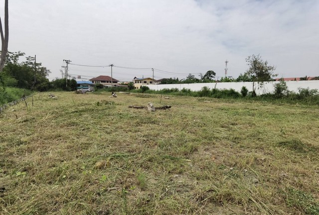 ขายที่ดินที่ 1 ไร่ถมแล้ว ซอยประชาอุทิศ 72 น้ำไม่ท่วม เป็นที่ดินแปลงหัวมุมติดถนนสาธารณะ