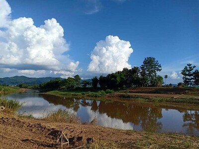 บอกขายที่ดินดีทำเลเหมาะ ขายที่ติดแม่น้ำน่าน อ.ท่าวังผา น่าน 09688