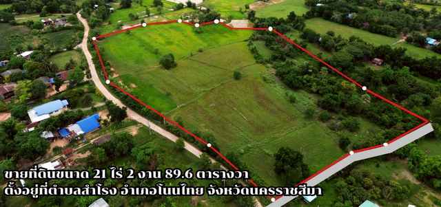ขายที่ดินเปล่า อ.โนนไทย จ.นครราชสีมา 21 ไร่ 2 งาน 89.6 ตร.ว. ติดถนน น้ำไฟเข้าถึง ใกล้มอเตอร์เวย์ ราคาไร่ละ 350,000 บาท