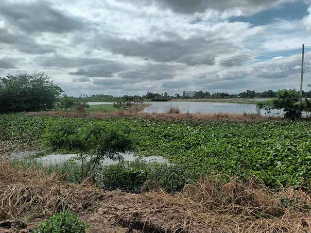ขายที่ดินเปล่า ติดถนนหลวงหมายเลข 3496 ใกล้ตลาดร้อยปีสามชุก สุพรรณบุรี ขนาด 1 ไร่ 2 งาน 2 ตร.ว. ทำเลดี ราคาต่อรองได้  ราคา 750,000 บาท