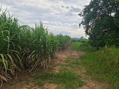 บอกขายที่ดินดีทำเลเหมาะ ขายที่ปากช่อง 2-8ไร่โฉนด ต.วังไทร ไร่ละ 2