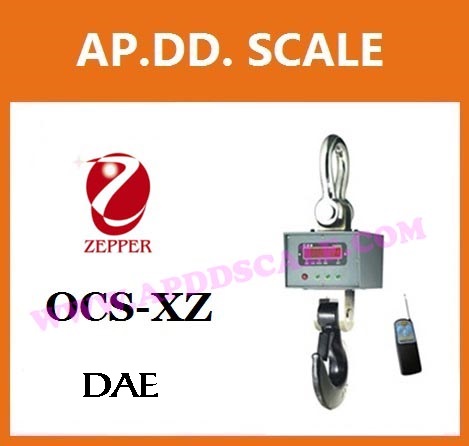 ตาชั่งแขวนดิจิตอล 30-600kg ยี่ห้อ T-SCALE รุ่น DR ราคาพิเศษ