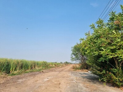 ขายที่ดิน6ไร่ผังสีม่วงจุดสีขาวเขตEEC อ.เมืองฉะเชิงเทราถนนปองพล