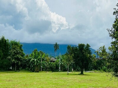 สวนผลไม้วิวเขา ติดลำธารน้ำ ใกล้เขาใหญ่ น้ำไฟ 1ไร่กว่า อ.ปากพลี นค